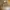 Streetwear Casual Harrington jacket Pria tan photo 4