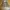 Streetwear Casual Harrington jacket Pria tan photo 1