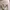 Zara Coquette Casual Cardigan Wanita yellow photo 2