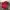 Champion Streetwear Skater Hoody Pria red photo 1