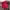 Champion Streetwear Skater Hoody Pria red photo 2