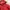 Champion Streetwear Skater Hoody Pria red photo 4