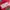 New Balance Sportswear Sneakers Wanita multicolor photo 4