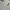 Vintage Y2K T-shirt Pria gray photo 4