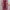 Casual Gilet Wanita burgundy pink photo 1