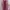 Casual Gilet Wanita Burgundy Pink