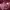 Casual Gilet Wanita burgundy pink photo 2