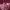 Casual Gilet Wanita Burgundy Pink