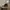 Converse Streetwear Casual Sneakers Wanita white black photo 5