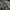 Lacoste Luxury T-shirt Pria gray photo 5