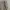 Carhartt Vintage Streetwear Pria gray photo 7