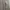 Carhartt Vintage Streetwear Pria gray photo 2