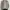 Giordano Minimalist Casual Harrington jacket Pria gray photo 3