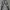Rucas Dark Grey Caviar Leather Jeans photo 1