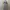 Futurist Casual Prom dress Wanita blue photo 1