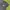 Gorpcore Minimalist Polo Shirt Pria Black Gray