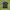 Gorpcore Minimalist Polo shirt Pria black gray photo 1
