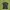 Gorpcore Minimalist Polo Shirt Pria Black Gray