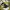 Gramicci Streetwear Casual Hat Pria multicolor photo 6
