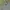 Luxury Minimalist Polo shirt Pria green photo 2