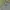 Luxury Minimalist Polo Shirt Pria Green