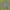 Luxury Minimalist Polo Shirt Pria Green