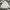 Carhartt Streetwear Casual Track Jacket Pria Khaki