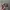 Realtree Streetwear Y2K Hat Pria multicolor photo 4