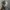 Realtree Streetwear Y2K Hat Pria multicolor photo 5