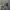 Realtree Streetwear Y2K Hat Pria multicolor photo 2
