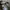 Realtree Streetwear Y2K Hat Pria multicolor photo 6