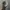 Realtree Streetwear Y2K Hat Pria multicolor photo 5