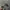 Realtree Streetwear Y2K Hat Pria multicolor photo 2