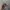 Realtree Streetwear Y2K Hat Pria multicolor photo 3
