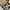 Nike Sportswear Casual Sneakers Pria gray photo 5