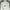Puma Streetwear Hoody Pria white photo 2