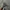 Realtree Streetwear Y2K Hat Pria multicolor photo 3