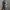 Realtree Streetwear Y2K Hat Pria multicolor photo 5