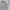 Biker Casual Bomber jacket Pria white photo 4