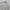 Biker Casual Bomber Jacket Pria White