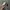 Realtree Vintage Y2K Hat Pria white gray photo 2
