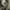 Realtree Vintage Y2K Hat Pria tan brown photo 6