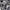 Nike Gorpcore Sportswear Sneakers Pria black photo 3