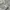 Issey Miyake Y2K Avant Garde Casual shirt Pria khaki cream photo 4