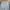 Needles Streetwear Sportswear Tracksuit Pria gray photo 3