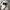 Needles Streetwear Sportswear Tracksuit Pria gray photo 4