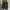 Luxury Minimalist Blazer Pria green cream photo 1