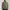 Napapijri Streetwear Casual Bomber jacket Pria green photo 1