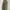 Napapijri Streetwear Casual Bomber jacket Pria green photo 2