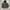 GU Casual Puffer jacket Pria green photo 2